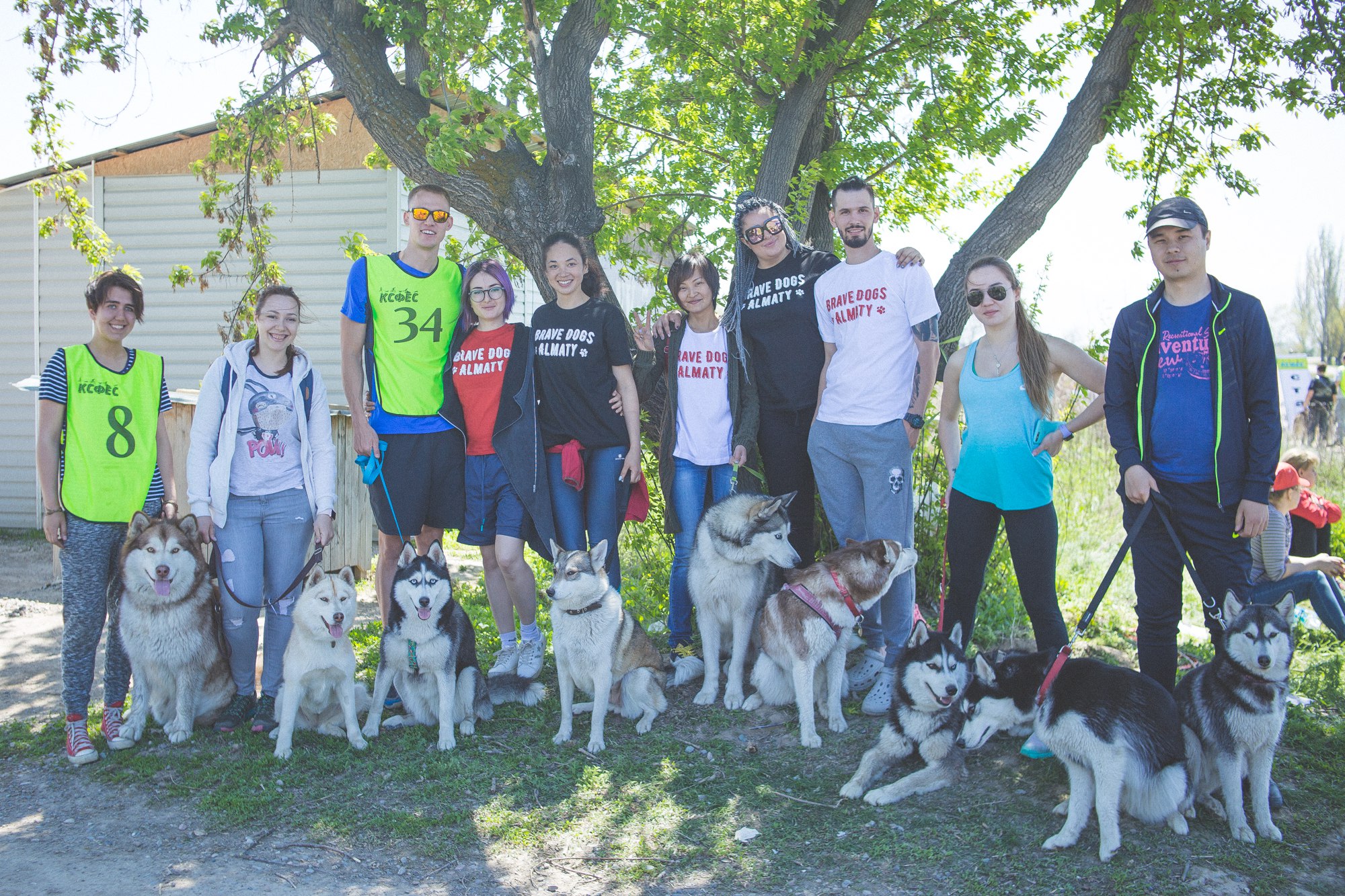 Brave Dogs Almaty Всем командам команда!